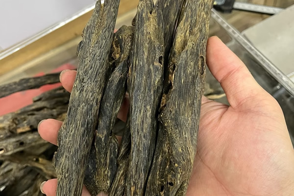 بخور العود العربي