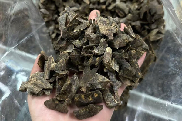 زيت العود